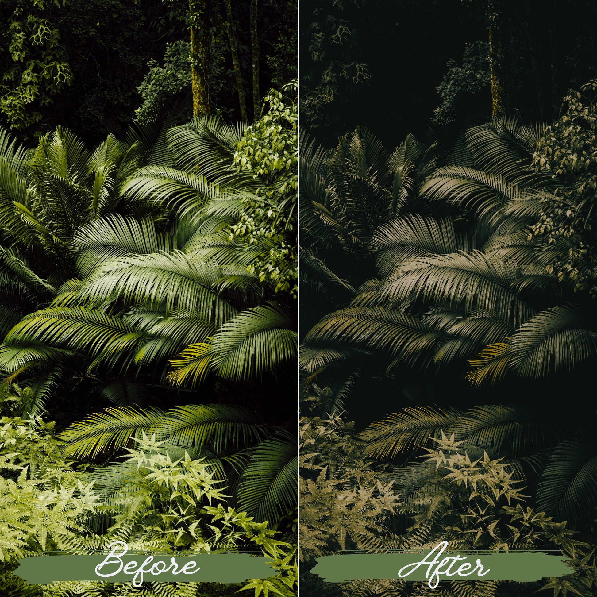 Soft Green Lightroom Presets