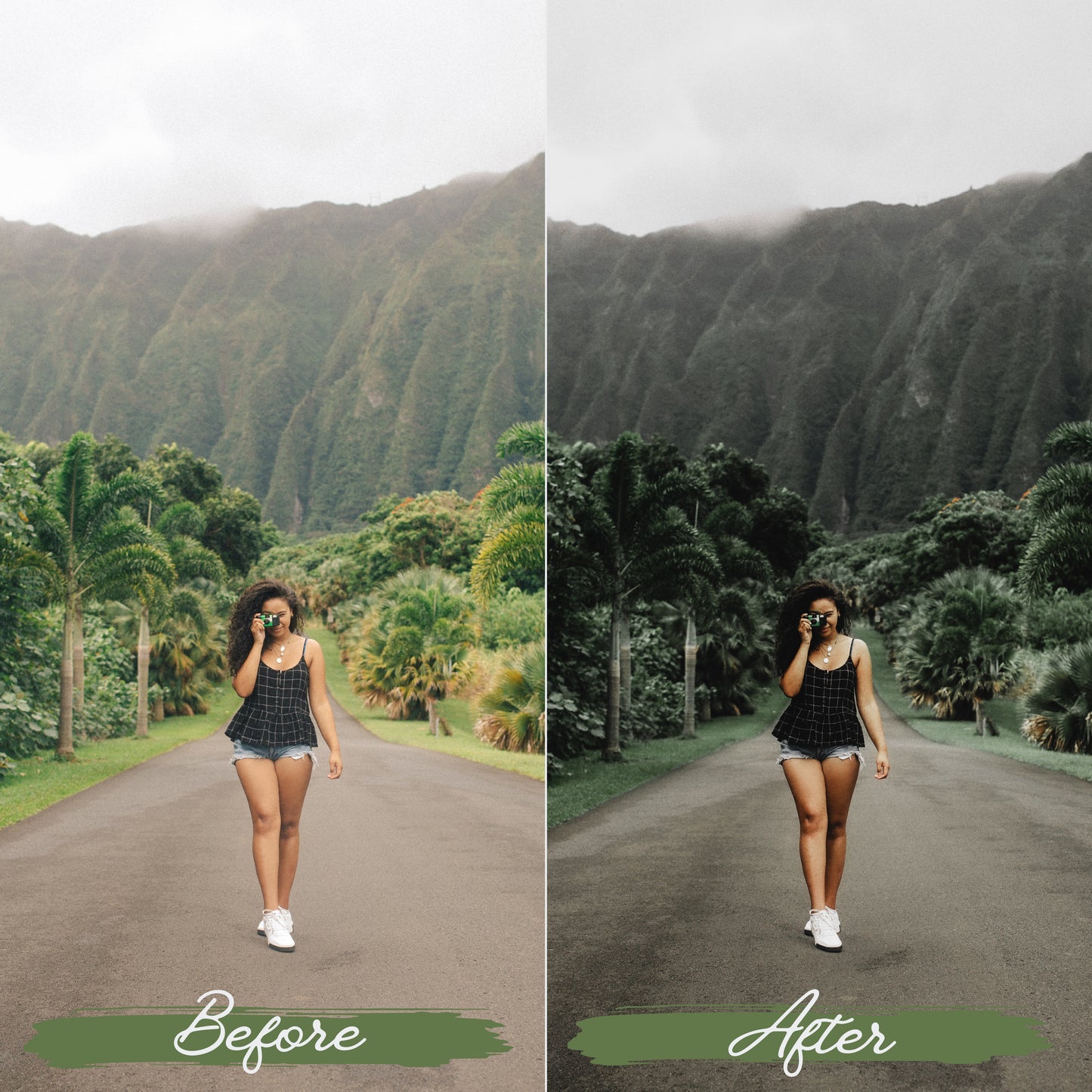 Soft Green Lightroom Presets