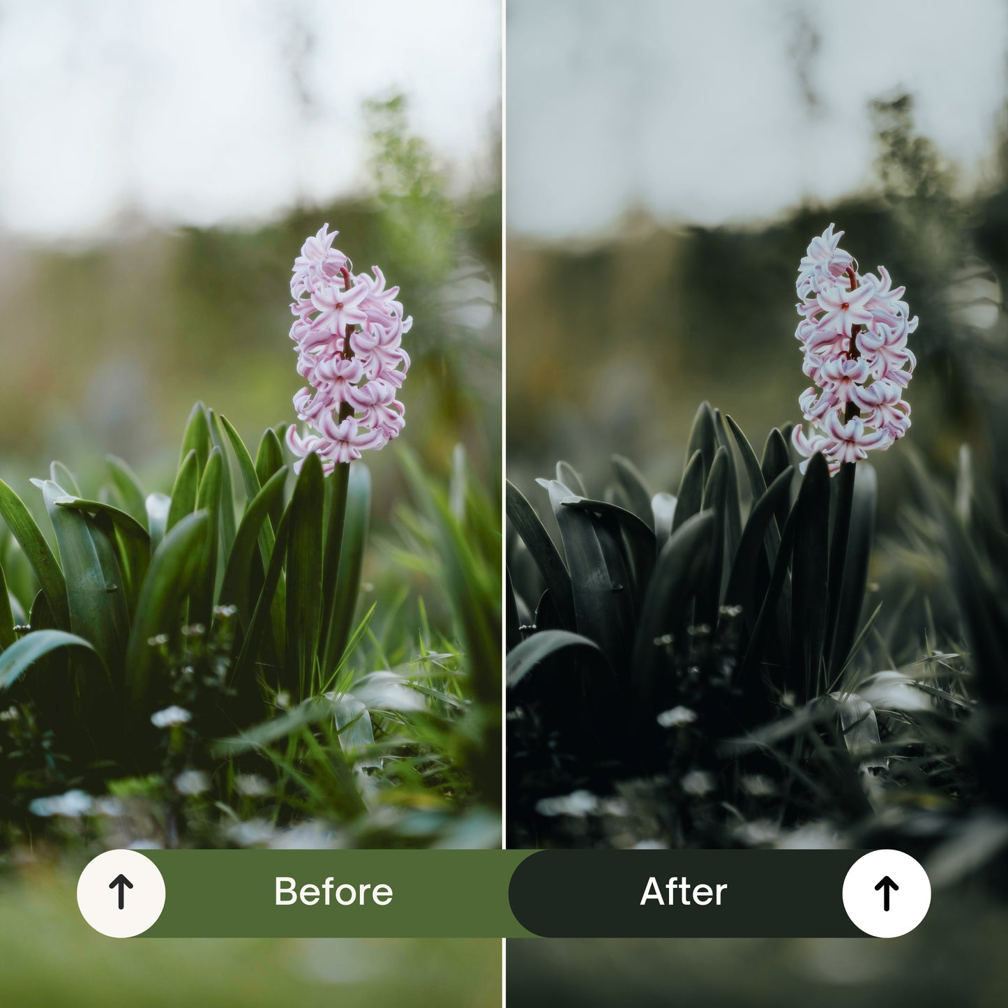 Cinematic Green Lightroom Presets