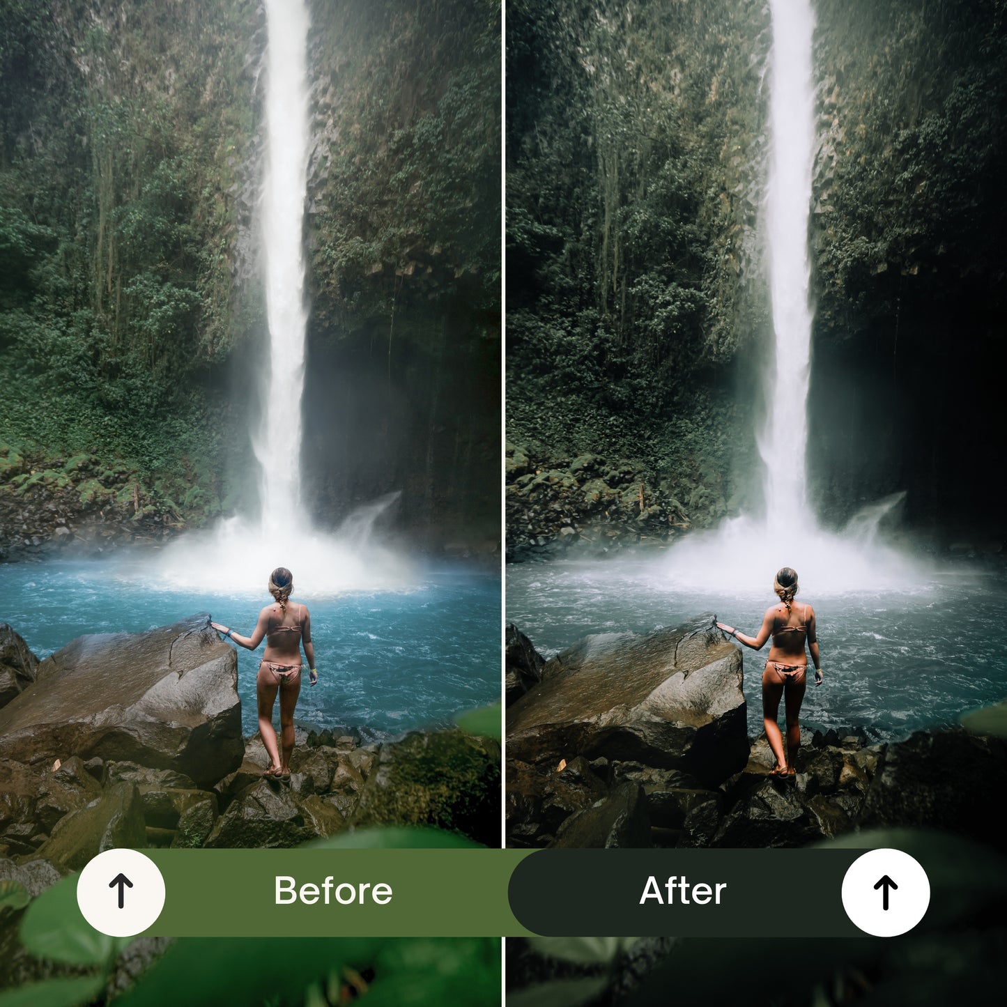 Cinematic Green Lightroom Presets
