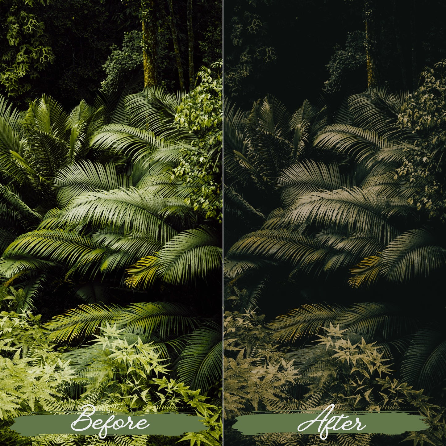 Soft Green Lightroom Presets