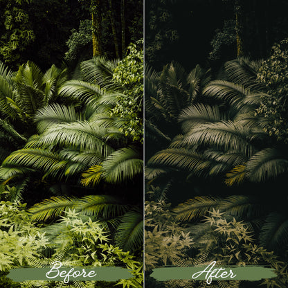 Soft Green Lightroom Presets