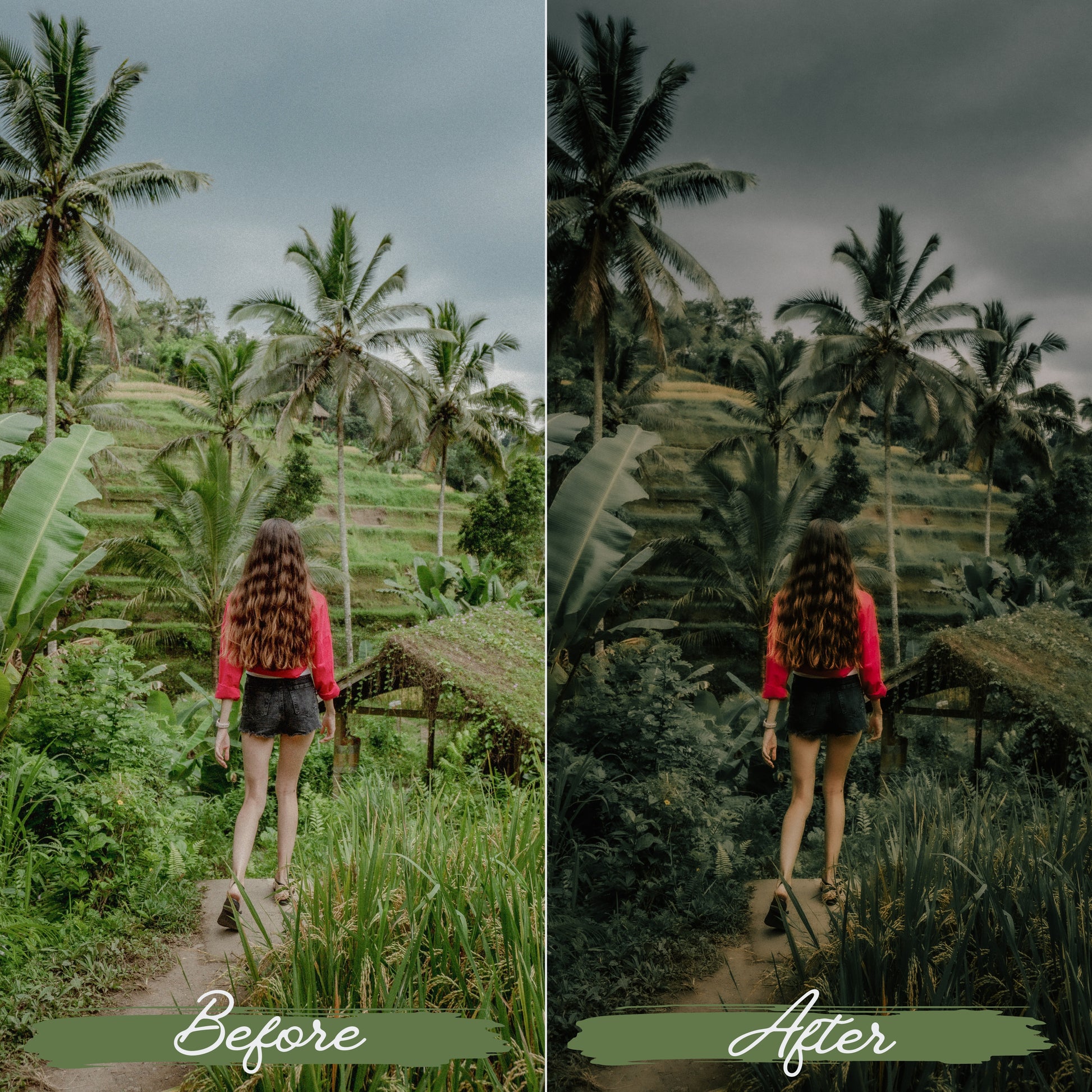 Soft Green Lightroom Presets