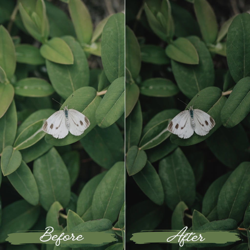 Soft Green Lightroom Presets