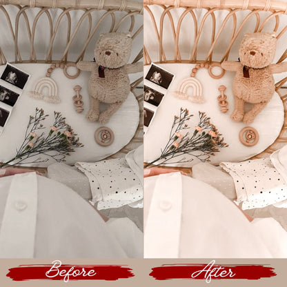 Mommy Blogger Lightroom Presets