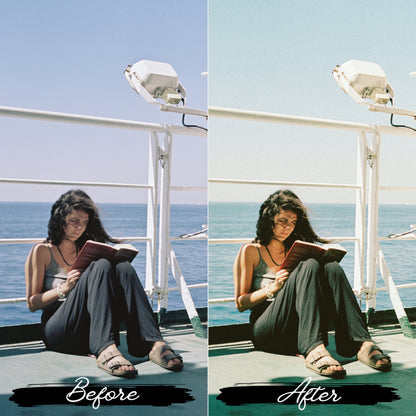 1000+ Mega Bundle. Lightroom Presets- 100 Free Video LUTs
