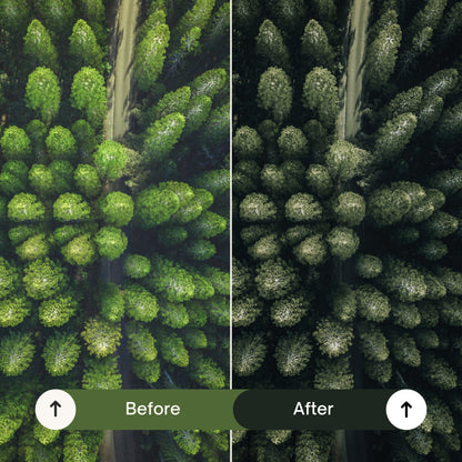 Cinematic Green Lightroom Presets