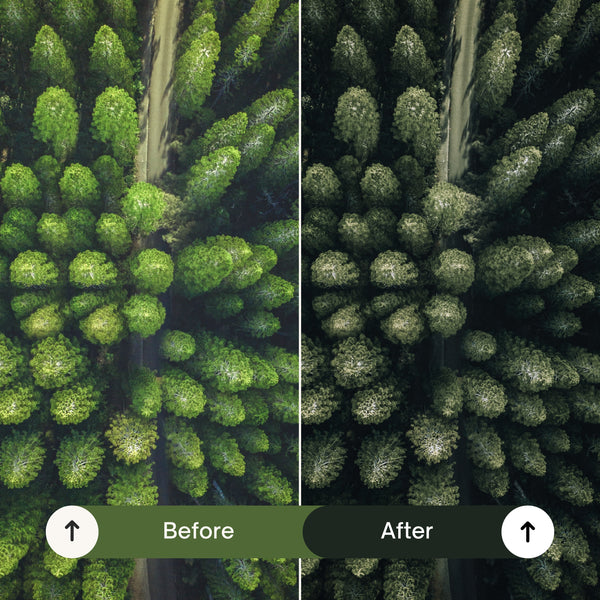 Cinematic Green Lightroom Presets