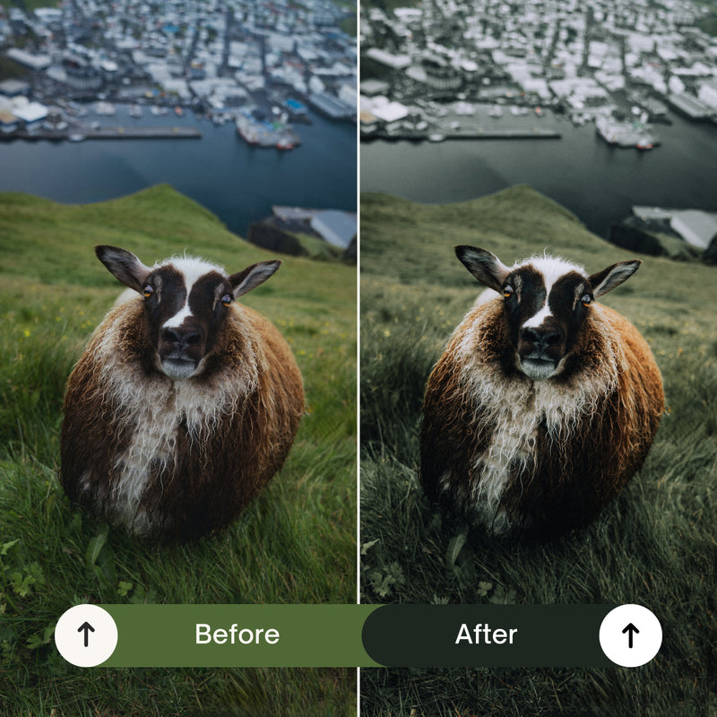 Cinematic Green Lightroom Presets