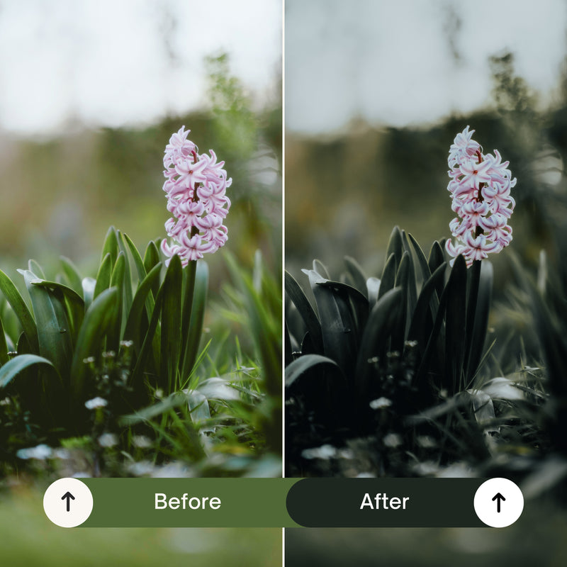 Cinematic Green Lightroom Presets