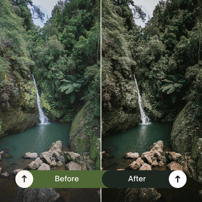 Cinematic Green Lightroom Presets