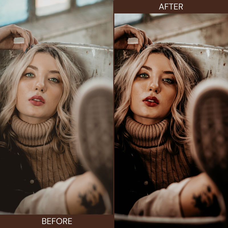 1000+ Mega Bundle. Lightroom Presets- 100 Free Video LUTs
