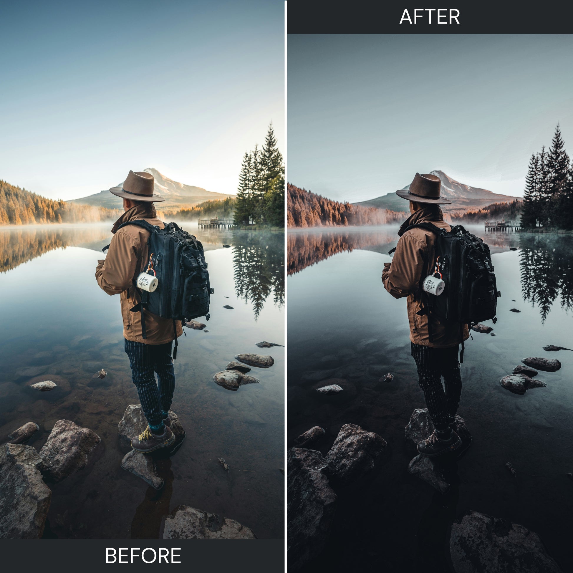 1000+ Mega Bundle. Lightroom Presets- 100 Free Video LUTs