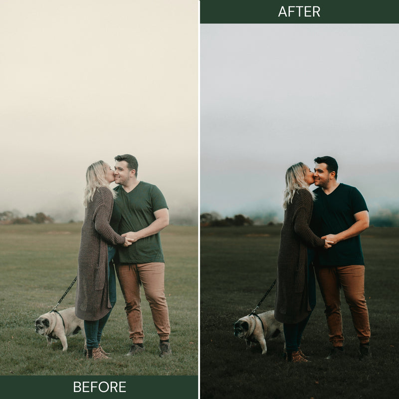 Moody Green Lightroom Presets