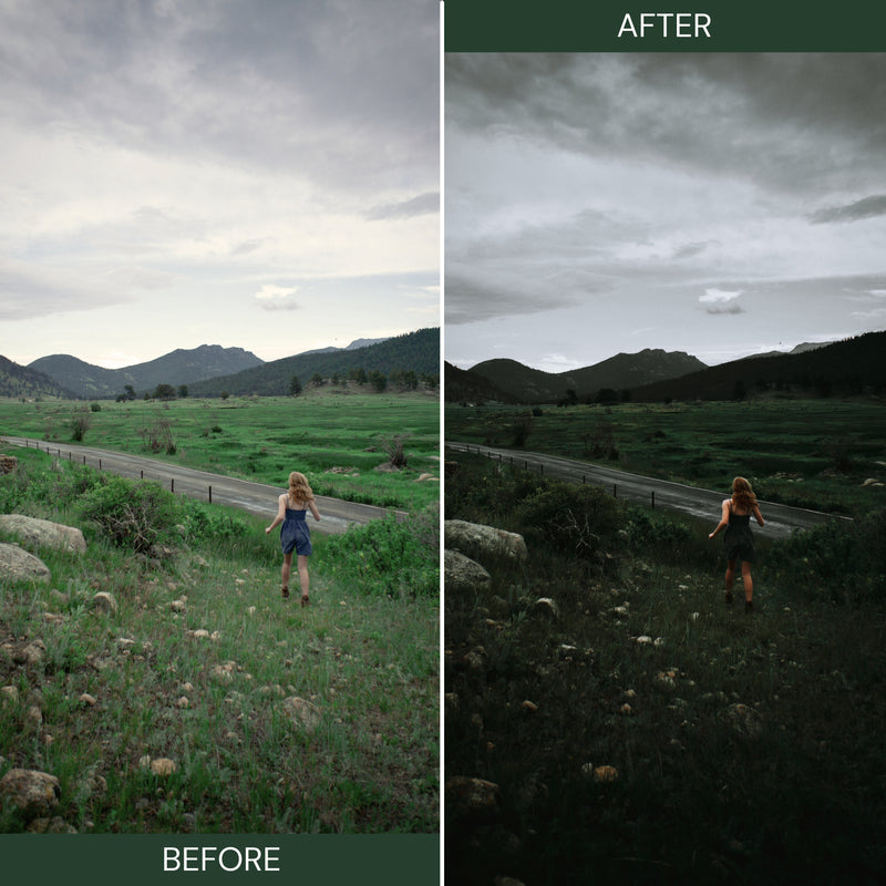 Moody Green Lightroom Presets