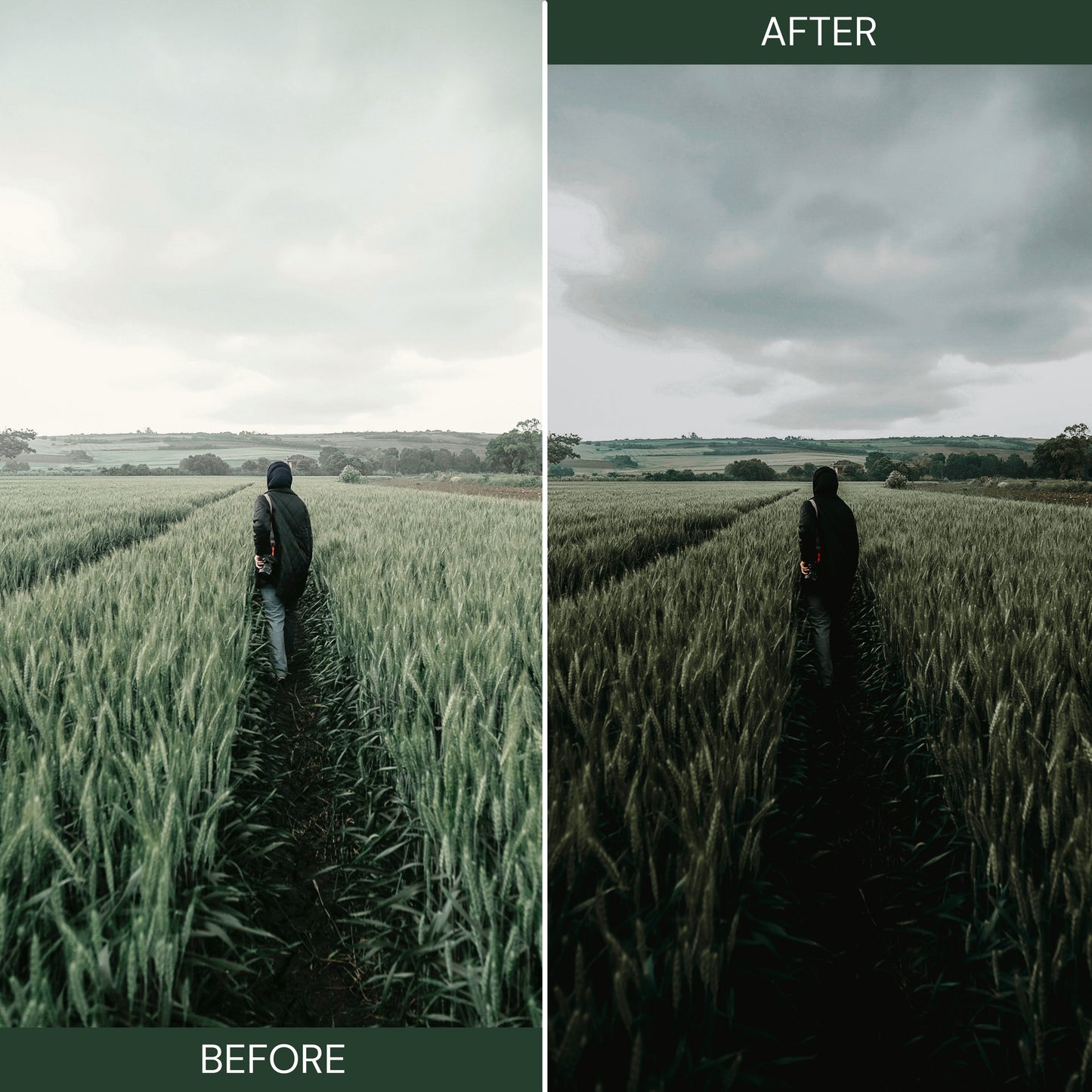 Moody Green Lightroom Presets