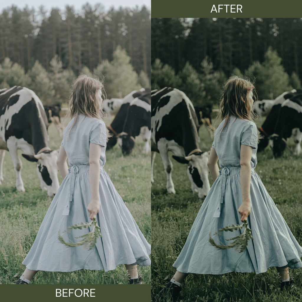 Sage Green Lightroom Presets