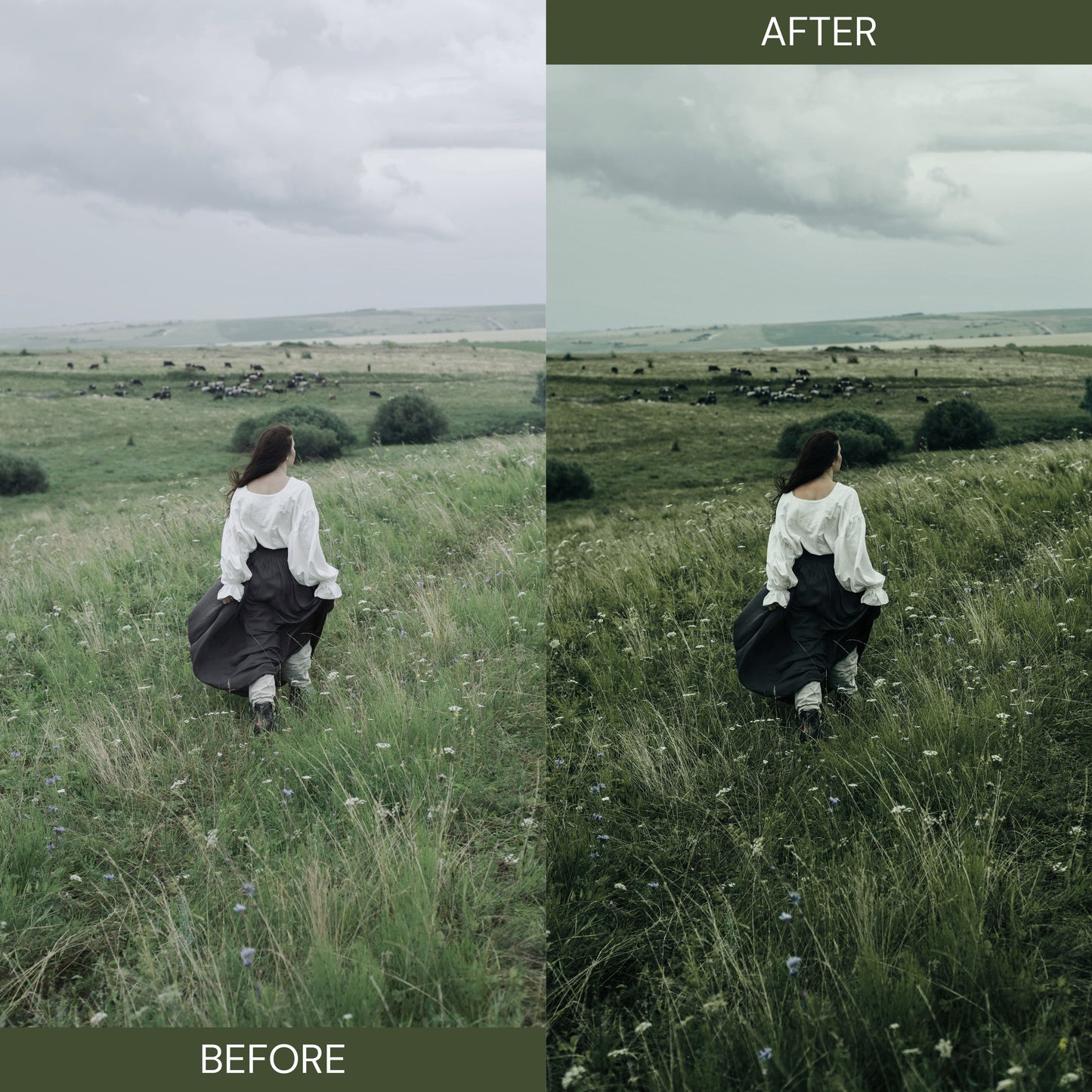 Sage Green Lightroom Presets
