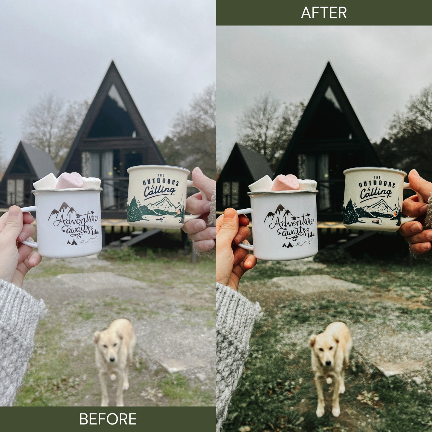 Sage Green Lightroom Presets