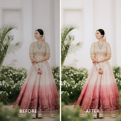 160 Indian Wedding Lightroom Presets & LUTs